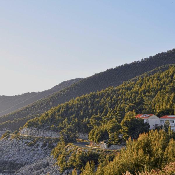 Villa Victor Babino Polje Exterior photo