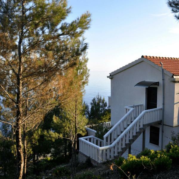 Villa Victor Babino Polje Exterior photo